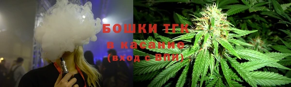 дмт Арсеньев