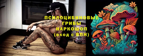 spice Армянск