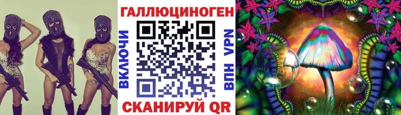 Псилоцибиновые грибы Psilocybine cubensis  Кировск 