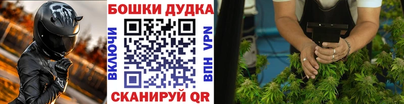 Шишки марихуана SATIVA & INDICA  Кировск 